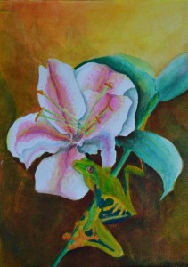 Frog on Lily