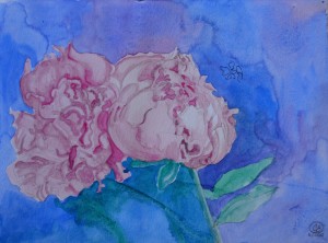 Peonies