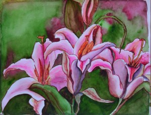 Pink Lilies