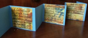 Accordion Book, Sea Shells Side 3